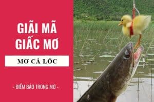 Giải mã giấc mơ thấy cá lóc