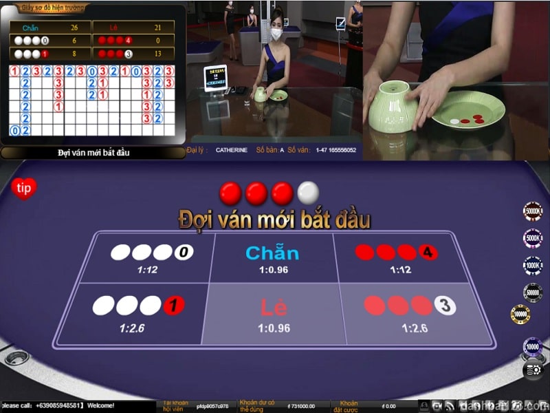 Chơi game xóc đĩa