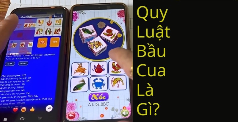 Quy luật bầu cua là như thế nào?