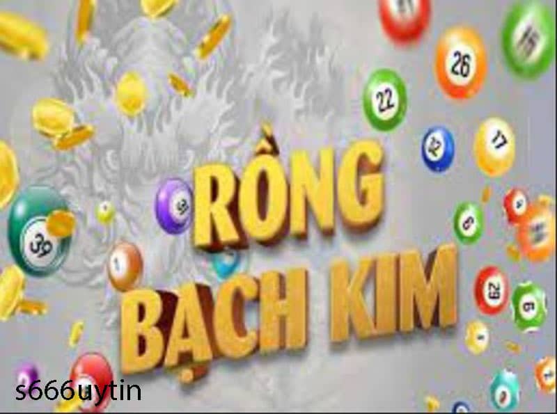 Giải thích rồng bạch kim plus là gì?