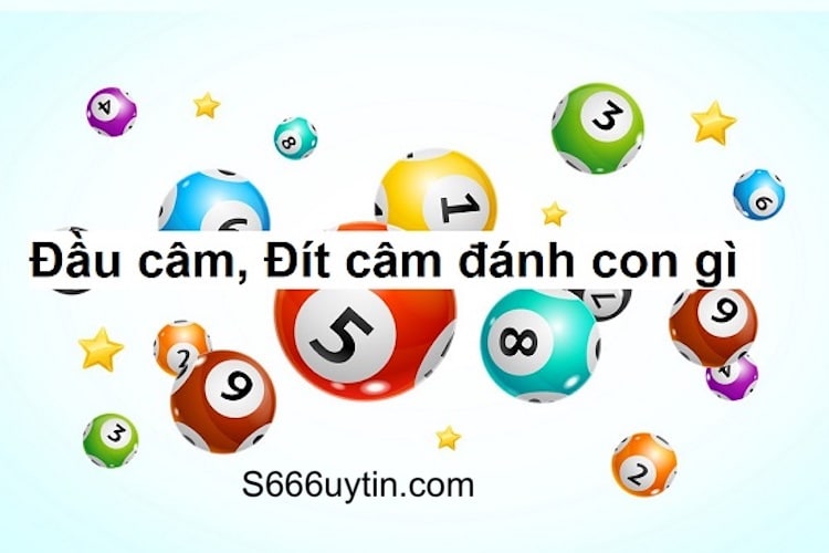 thấy lô câm đánh con gì