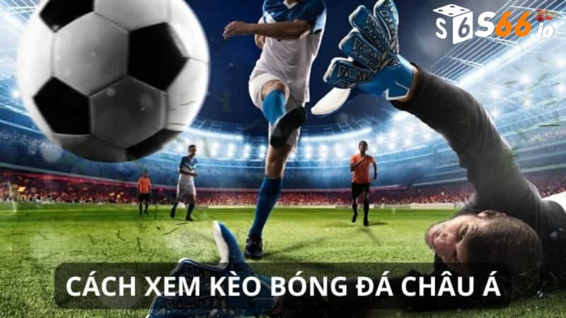 Kèo Châu Á - Ý nghĩa và lợi ích khi tham gia cá độ tại S66