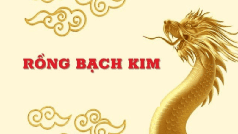 tham gia soi cầu rồng bạch kim 66